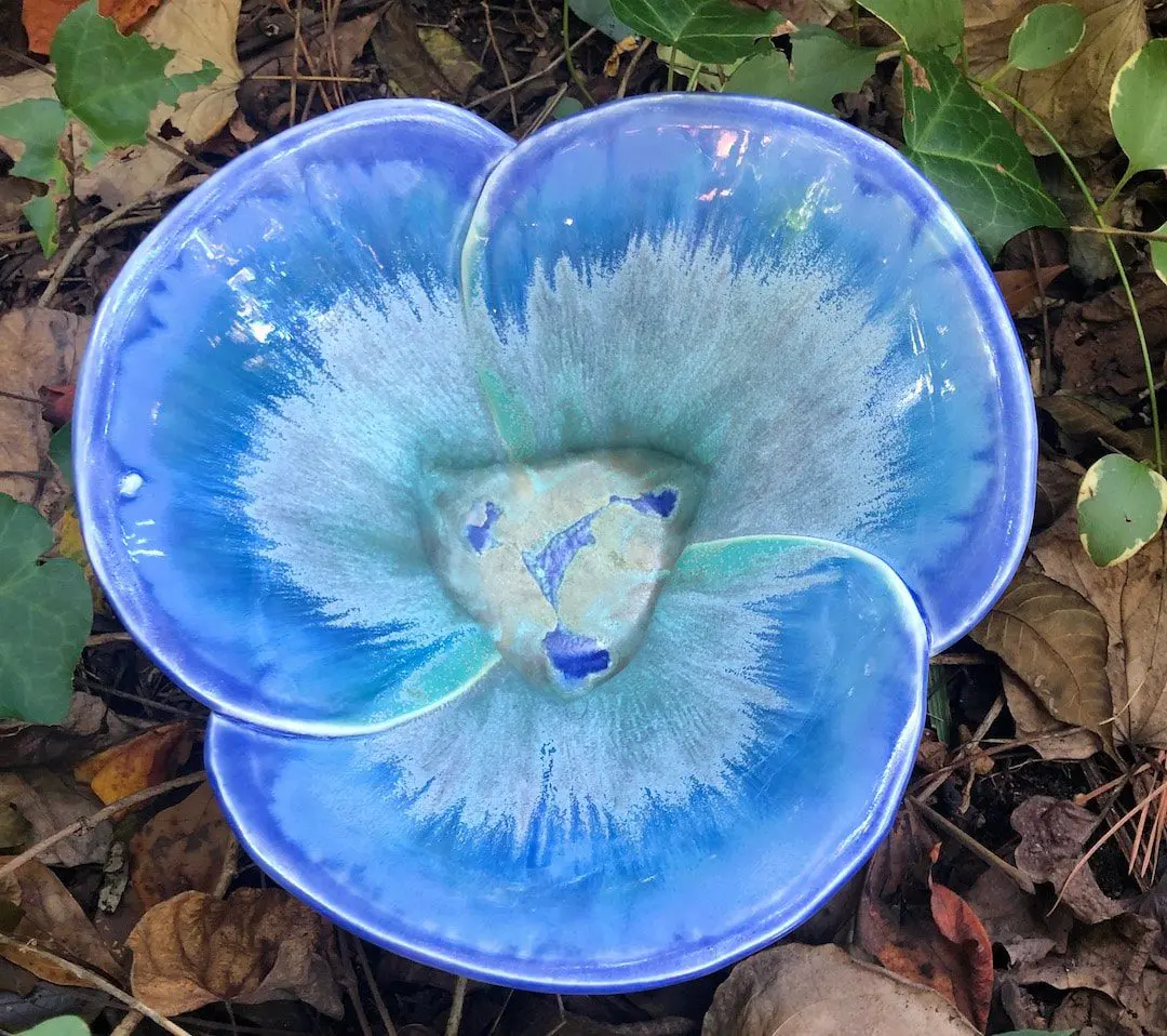 A blue flower sitting on top of some leaves.
